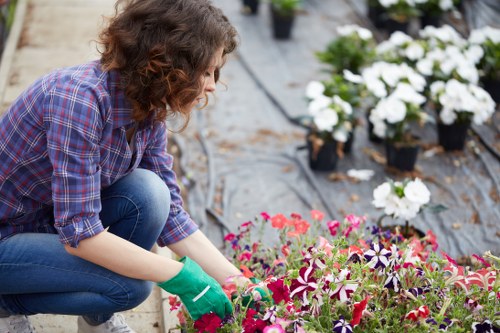 Professional gardener trimming a hedge