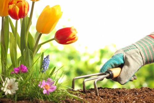 A close-up view of a garden bed in a residential outdoor space, featuring a variety of blooming flowers including red and yellow tulips, purple and white daisies, and bluebell-like flowers, all growing in rich, dark soil. In the foreground, a gardener's hand wearing a grey gardening glove is using a small hand rake to loosen the soil or prepare it for planting. The background displays a lush, green hedge or shrubbery, with softly blurred natural foliage, suggesting a bright, possibly sunny day. The garden area appears well-maintained and vibrant, with a mix of flowering plants and healthy greenery, indicating regular outdoor gardening care typical of the Millbank area, within London. This image exemplifies outdoor garden maintenance activities, relevant to professional gardening and hedge trimming services offered by Hedge Trimming Millbank, situated in the SW1 postcode district, for clients seeking lawn care, shrub pruning, and flower bed upkeep.