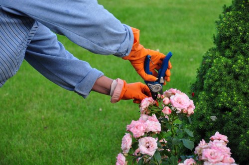 Communal riverside hedge being trimmed by a crew in Millbank